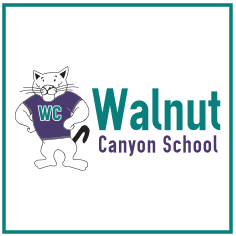 Walnut Logo Design