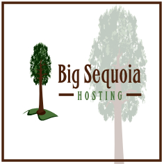 BigSequia Logo Design
